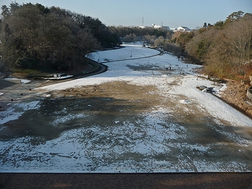 まだ雪が残る深田公園