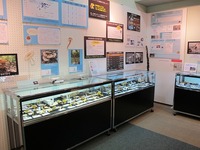 IMG_2162.jpg