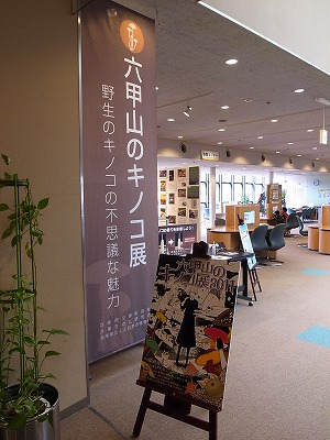 R0012355.jpg