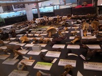 R0012366.jpg