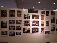 R0012370.jpg