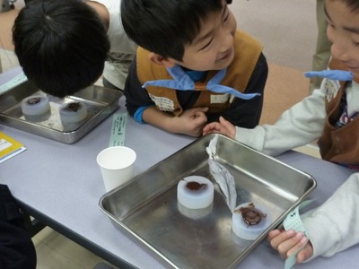 完成が待ち遠しい