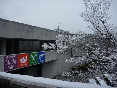 3階入口の雪