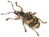 MNHA0007.jpg