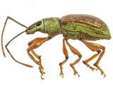 MNHA0041.jpg