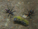 MNHA7743.jpg