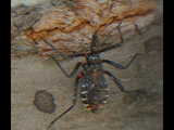 MNHA7754.jpg