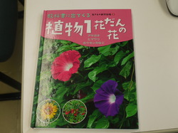 P1060179.JPG