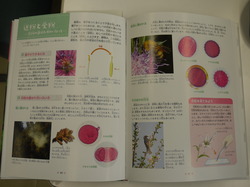 P1060181.JPG