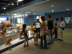 s-P1000898.jpg