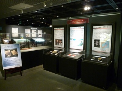 ミキヒメザルガイ展示