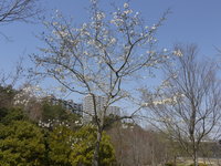 P1060417.JPG