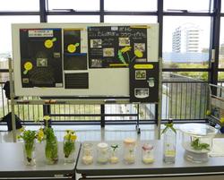hitotosizen201104-3.jpg
