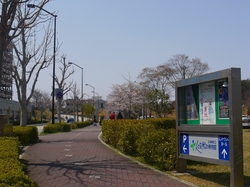 s-P1060321.jpg
