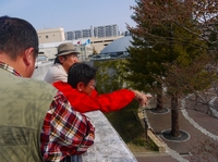 s-P1060390.jpg