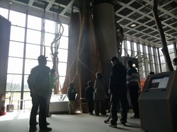 s-P1070270.jpg
