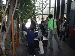 s-P1070282.jpg