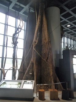 1階展示室〜のサムネール画像