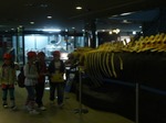 s-P1070525.jpg