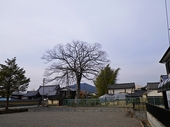 sasayama10re800.JPG