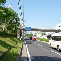 たばこの吸い殻も多いなぁ