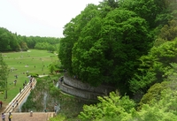 �V�΂��ō�