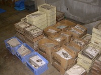 higai2.jpg