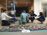 koinobori2.jpg