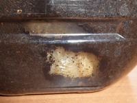 s-P1070946.jpg