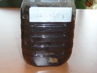 s-P1070947.jpg