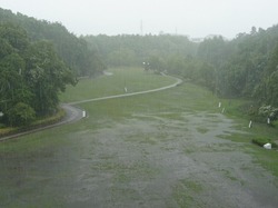 雨の深田公園
