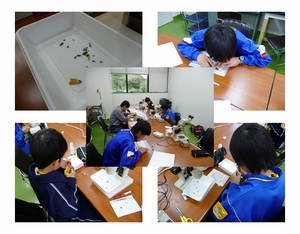 1mm��2mm�̒��̕W�{�Â���ł�!!�@��������!!