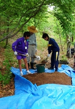 土と肥料を混ぜます
