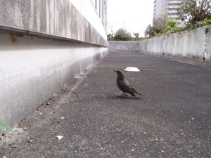 201106-1.jpg
