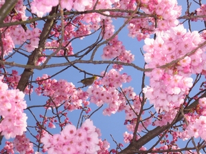 201106-2.jpg