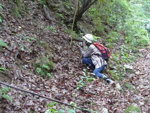 P1020016a.jpg