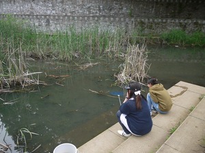 s-P1060555.jpg