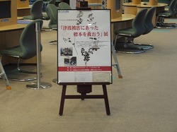 s-P1060595.jpg