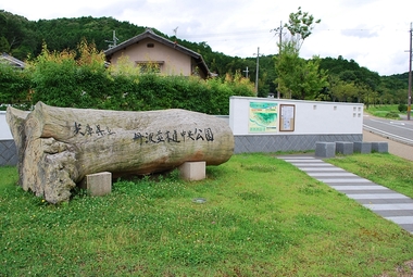 県立丹波並木道中央公園入口