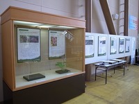 R0012815.jpg