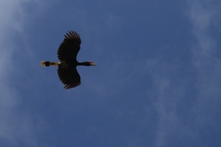 a00IMG_6149.JPG