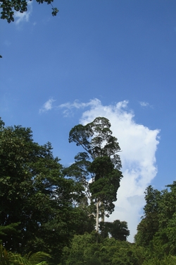 a01IMG_6164.JPG