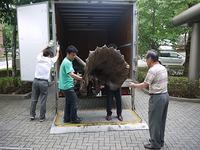 s-P1060814.jpg