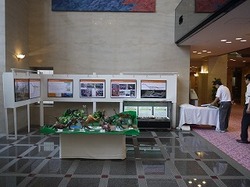 s-P1060815.jpg