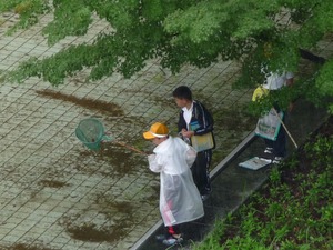 �����ɂ��邼�I�̃T���l�[���摜