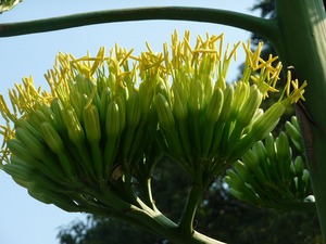 s-P1010473.jpg
