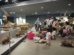 s-P1060905.jpg