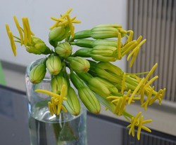 s-P1080015.jpg