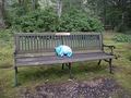 097.jpg