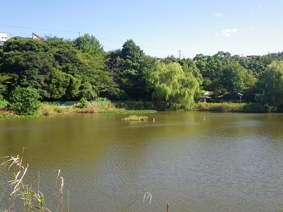 塩屋大池